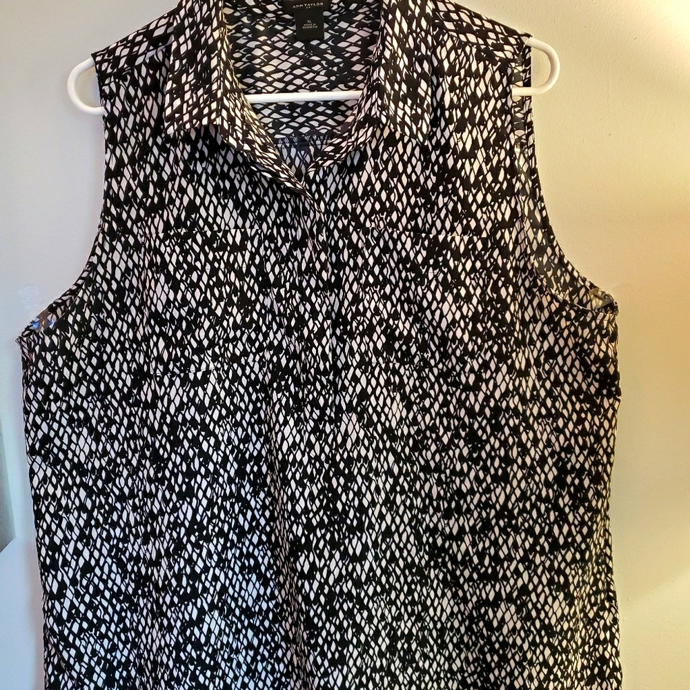 Ann taylor xl